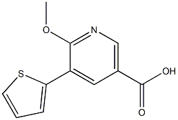 6-methoxy-5-(thiophen-2-yl)nicotinic acid 结构式