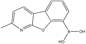  2-甲基苯并呋喃[2,3-B]吡啶-8-硼酸