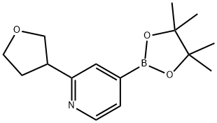 2222996-27-0 2-(tetrahydrofuran-3-yl)-4-(4,4,5,5-tetramethyl-1,3,2-dioxaborolan-2-yl)pyridine
