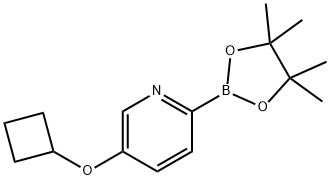 5-cyclobutoxy-2-(4,4,5,5-tetramethyl-1,3,2-dioxaborolan-2-yl)pyridine Structure