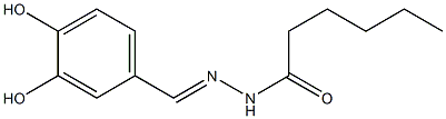 (E)-N'-(3,4-dihydroxybenzylidene)hexanehydrazide 化学構造式