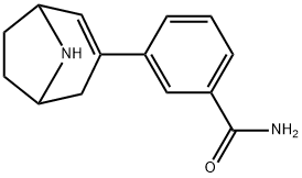 3-((1R,5S)-8-azabicyclo[3.2.1]oct-2-en-3-yl)benzamide Structure