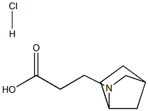 2-Azabicyclo[2.2.1]heptane-2-propanoic acid, hydrochloride Structure