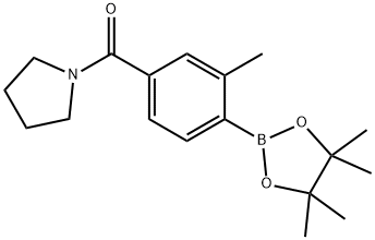 1-[[3-Methyl-4-(tetramethyl-1,3,2-dioxaborolan-2-yl)phenyl]carbonyl]pyrrolidine|1-[[3-甲基-4-(四甲基-1,3,2-二氧杂硼戊烷-2-基)苯基]羰基]吡咯烷