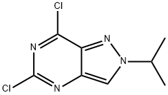 5,7-二氯-2-(丙烷-2-基)-2H-吡唑并[4,3-D]嘧啶,1630906-67-0,结构式