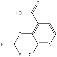 2-Chloro-3-(difluoromethoxy)isonicotinic acid Struktur