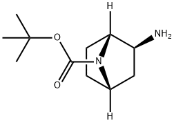 tert-Butyl (1R,2S,4S)-2-amino-7-azabicyclo[2.2.1]heptane-7-carboxylic acid Struktur