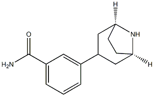 3-((1R,3r,5S)-8-azabicyclo[3.2.1]octan-3-yl)benzamide Struktur