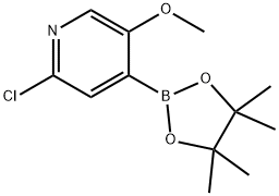 2-Chloro-5-methoxypyridine-4-boronic acid pinacol ester Struktur
