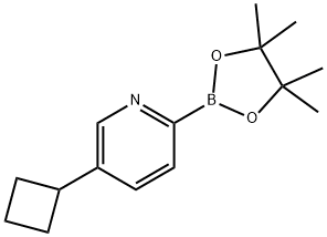 5-cyclobutyl-2-(4,4,5,5-tetramethyl-1,3,2-dioxaborolan-2-yl)pyridine Struktur