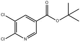 5,6-二氯吡啶-3-羧酸叔丁酯,1011476-27-9,结构式
