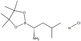 (R)-3-methyl-1-(4,4,5,5-tetramethyl-1,3,2-dioxaborolan-2-yl)butan-1-amine hydrochloride Struktur