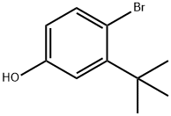 4-溴-3-叔丁基苯酚,103414-68-2,结构式