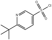 6-tert-butylpyridine-3-sulfonyl chloride Structure