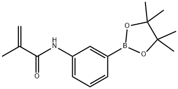 3-甲基丙烯酰胺基苯硼酸频哪醇酯, 1056904-42-7, 结构式