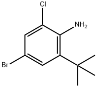 1079742-66-7 4-溴-2-(叔丁基)-6-氯苯胺