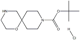 1-オキサ-4,9-ジアザスピロ[5.5]ウンデカン-9-カルボン酸TERT-ブチル塩酸塩 化学構造式