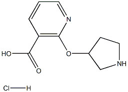 2-(Pyrrolidin-3-yloxy)nicotinic acid hydrochloride,1187929-94-7,结构式