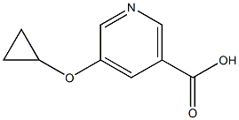 5-cyclopropoxynicotinic acid 结构式