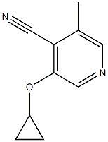 3-cyclopropoxy-5-methylisonicotinonitrile Struktur