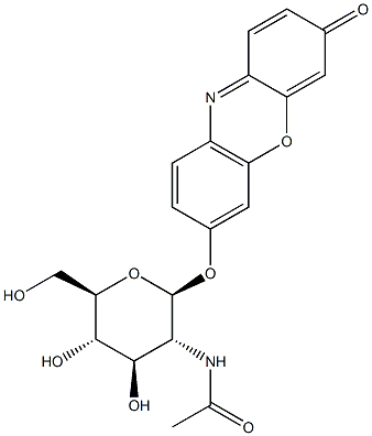 7-[[2-(Acetylamino)-2-deoxy-beta-D-glucopyranosyl]oxy]-3H-phenoxazin-3-one|7-[[2-(乙酰氨基)-2-脱氧-BETA-D-吡喃葡萄糖基]氧基]-3H-吩恶嗪-3-酮