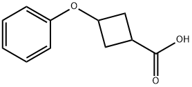 3-phenoxy-cyclobutanecarboxylic acid Struktur