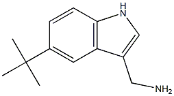 (5-(tert-Butyl)-1H-indol-3-yl)methanamine Structure