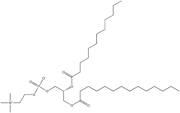 1-myristoyl-2-lauroyl -sn-glycero-3-phosphocholine