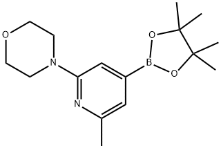 2-methyl-6-(morpholin-4-yl)-4-(4,4,5,5-tetramethyl-1,3,2-dioxaborolan-2-yl)pyridine Structure