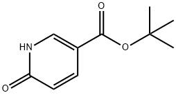 6-Hydroxy-nicotinic acid tert-butyl ester 化学構造式