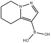 4,5,6,7-tetrahydropyrazolo[1,5-a]pyridin-3-ylboronic acid Structure