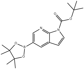 tert-butyl 5-(4,4,5,5-tetramethyl-1,3,2-dioxaborolan-2-yl)-1H-pyrrolo[2,3-b]pyridine-1-carboxylate Struktur