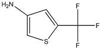 5-Trifluoromethyl-thiophen-3-ylamine Structure