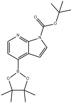 tert-butyl 4-(tetramethyl-1,3,2-dioxaborolan-2-yl)-1H-pyrrolo[2,3-b]pyridine-1-carboxylate