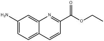 ethyl 7-aminoquinoline-2-carboxylate|ethyl 7-aminoquinoline-2-carboxylate