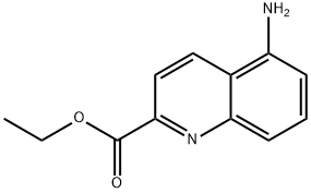 ethyl 5-aminoquinoline-2-carboxylate|5-氨基喹啉-2-羧酸乙酯