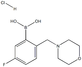 5-Fluoro-2-(morpholinomethyl)phenylboronic acid hydrochloride Structure