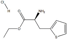 (S)-α-アミノ-2-チオフェンプロピオン酸メチル 化学構造式