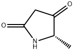 (S)-5-methylpyrrolidine-2,4-dione 化学構造式