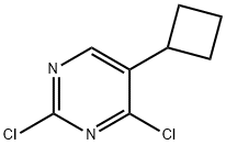 1563535-12-5 2,4-二氯-5-环丁基嘧啶