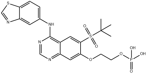 2-((4-(benzo[d]thiazol-5-ylamino)-6-(tert-butylsulfonyl)quinazolin-7-yl)oxy)ethyl dihydrogen phosphate 化学構造式