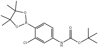 1620228-06-9 叔丁基(3-氯-4-(4,4,5,5-四甲基-1,3,2-二氧杂硼杂环戊烷-2-基)苯基)氨基甲酸酯