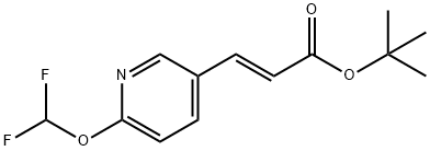 (E)-Tert-Butyl 3-(6-(Difluoromethoxy)Pyridin-3-Yl)Acrylate Struktur