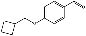 4-Cyclobutylmethoxy-benzaldehyde Structure