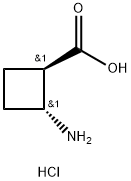 trans-2-aminocyclobutane-1-carboxylic acid hydrochloride Struktur