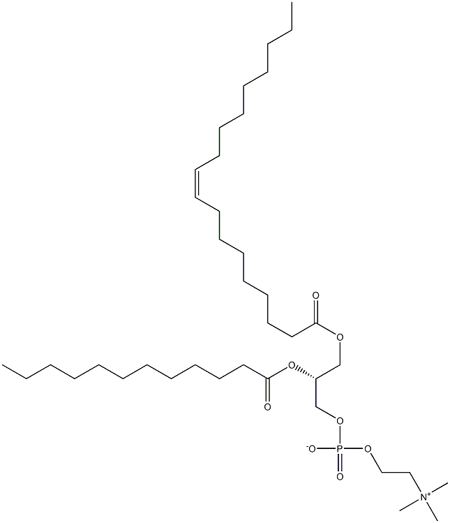 1-oleoyl-2-lauroyl -sn-glycero-3-phosphocholine Struktur