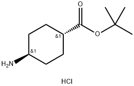 1956389-81-3 反式4-氨基环己基甲酸叔丁酯盐酸盐