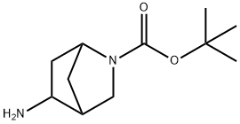 5-Amino-2-aza-bicyclo[2.2.1]heptane-2-carboxylic acid tert-butyl ester