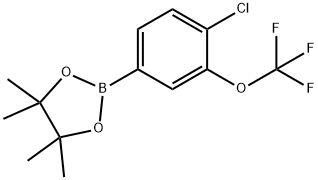 4-Chloro-3-(trifluoromethoxy)phenylboronic acid pinacol ester Struktur