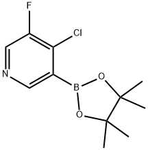 4-Chloro-5-fluoropyridine-3-boronic acid pinacol ester Struktur